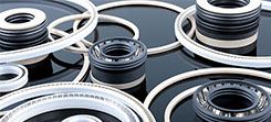 Kaflon (Xiamen) Seal Co.,Ltd