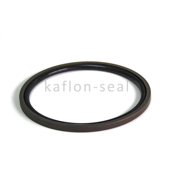 Double Acting Glyd Seal