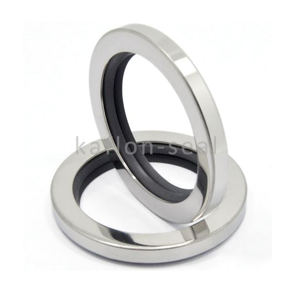 Double Lips PTFE Oil Seal
