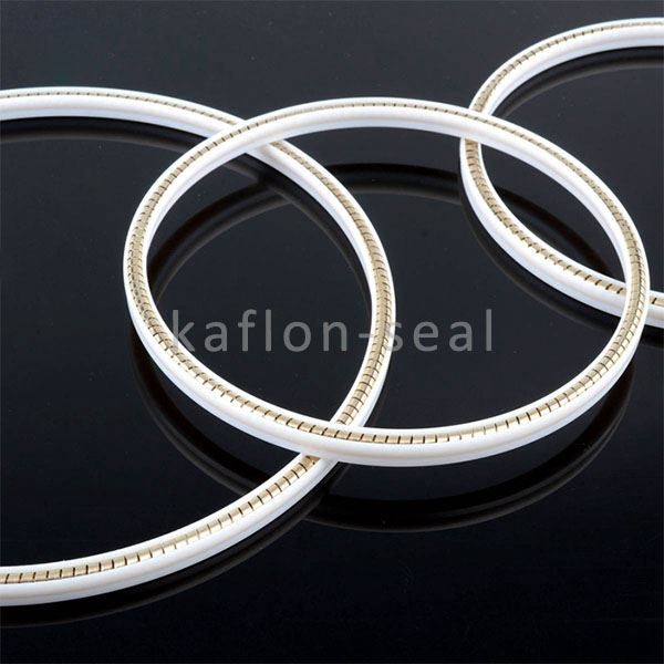 Helicoil Spring Energized Seal