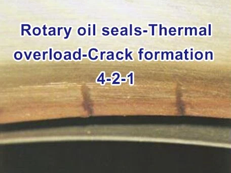 Rotary oil seals-Thermal overload-Crack formation