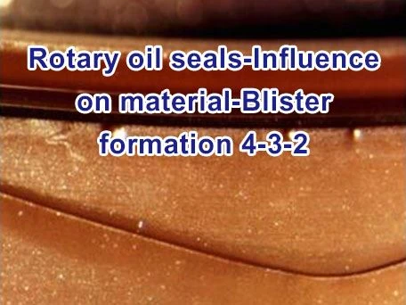 Rotary oil seals-Influence on material-Blister formation 4-3-2