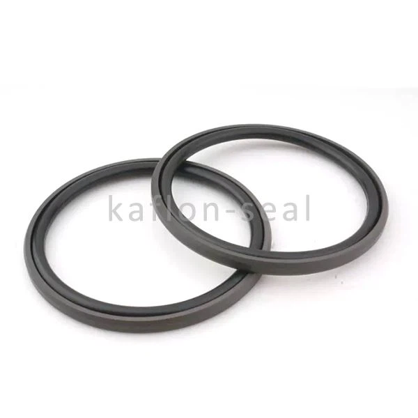 Piston Sealing Glyd Ring