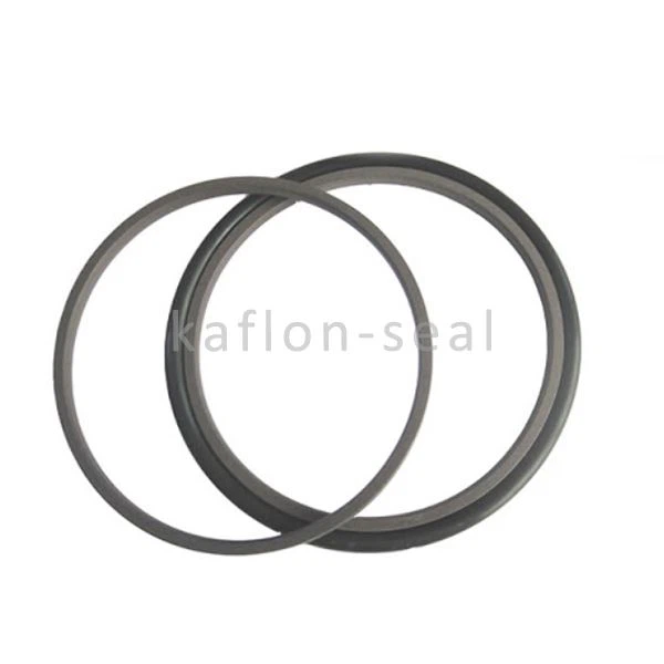 PTFE With Polymer Hydraulic Seal
