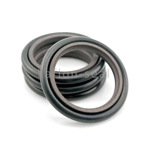 Rod Sealing Glyd Ring