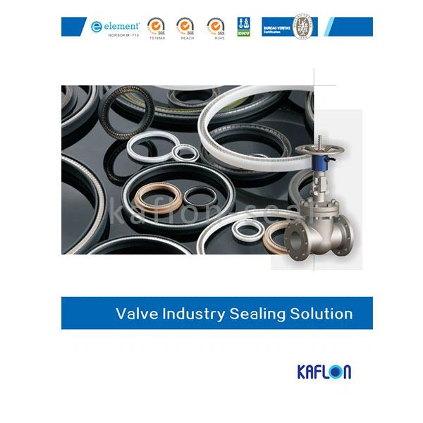 Sealing Solution For Valve Application