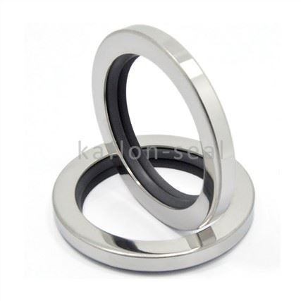 Double Lips PTFE Oil Seal