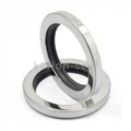 Double Lips PTFE Oil Seal
