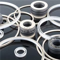 CS01 ELG Slant Spring Energized Seal For Two-way Sealing