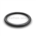 Encapsulated Oring With PTFE Jacket Seal