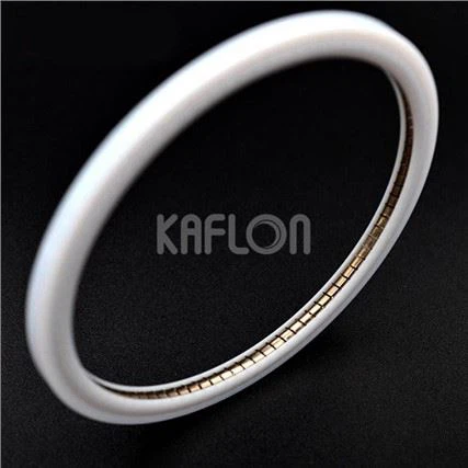 Teflon Spring Energized Face Seal