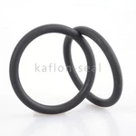NBR Rubber Oil Seal Framework Tc Oil Seal
