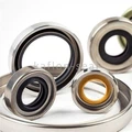 Medical Equipment Rotary PTFE POB Oil Seal