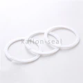 PTFE Back-up Ring Seal With 45 Cut