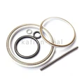 Resistant To Acetaldehyde Srpring PTFE Seal