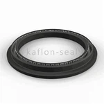 Resistant To Petroleum Ether Energized PTFE Seal