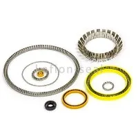 Tar Oil Resistance Spring Energized Seals