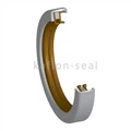 Vacuum Operation PTFE Stainless Oil Seal