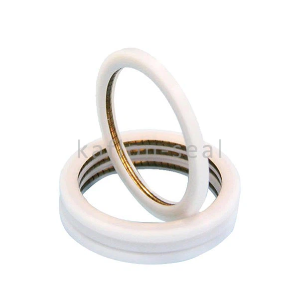 Sulfur Trioxide Resistance PTFE Seal