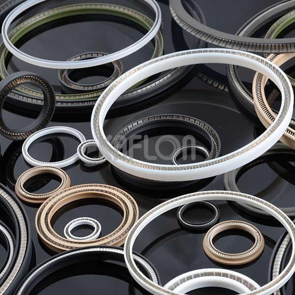 VT19 Double Piston Spring PTFE Energized Seal