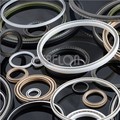 HW08 Double Piston Face Sealing Energized Spring Seal