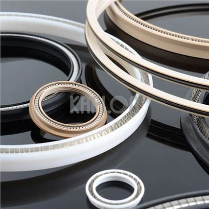 HW02 Face Sealing TFM Energized Seal