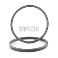 H02 PTFE Fill With Glass Fiber Helical Spring Seal