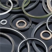 VW06 High Pressure Energized Seal With Peek Backup Ring