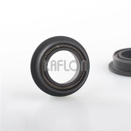 C03 Modified PTFE With Carbon Fiber Spring Seal