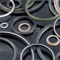 HT03 Piston Sealing Spring Energized Seal