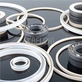 HN05 PTFE Energzeid Seal With Pressure Ring For Face Sealing