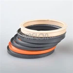 PTFE Filled Graphite And Special Material Reciprocating Motion Spring Energized Seal