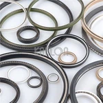 T03 Special Sectional RPTFE Seal