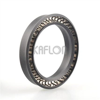 V02 Cantilever Spring Energized UHMW-PE Seal