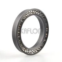 V02 Cantilever Spring Energized UHMW-PE Seal