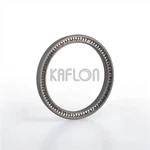 V02 PTFE Fill With 40% Bronze Sping Energized Lip Seal