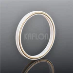 Liquid Nitrogen Lip Seal