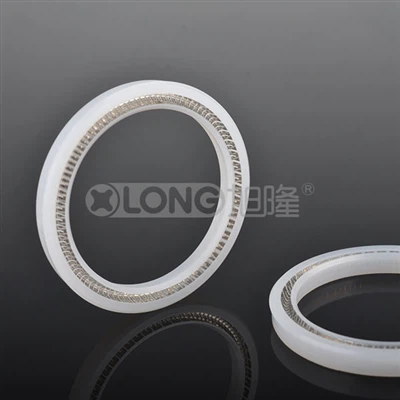 Advantages of Polymer Seal