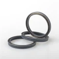 Carbon Spring Energized Seal