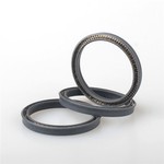 Carbon Spring Energized Seal