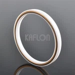 PTFE Dual Lip Spring Loaded Shaft Seal