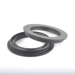 Hydraulic PTFE Spring Energized Seal
