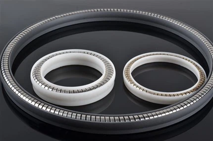 PTFE Lip Seal Manufacturer
