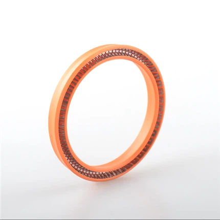 Spring U Packing Energized Seal