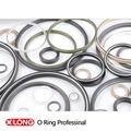 Teflon Spring Energized Seal