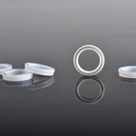 UMWHPE Spring Energized Seal