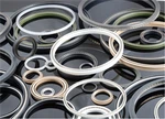 Double Spring Storage Seal With PTFE Filled Carbon