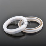 Hydraulic Helical Spring Energized Lip Seals