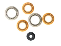 Energized Seals for Rotary Plunger Metering Valves