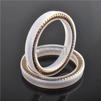 Spring Loaded Seals